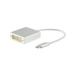 Equip USB-C zu DVI-I Dual-Link Adapter
